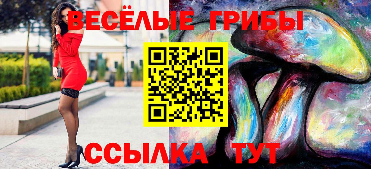 Ставрополь  Галлюциногенные грибы MAGIC MUSHROOMS  Галлюциногенные грибы Magic Shrooms  Вход с VPN 
