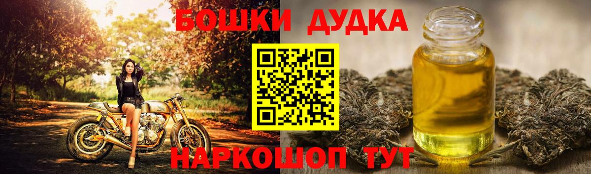 A PVP Ставрополь